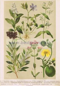 Фотография 0050.jpg