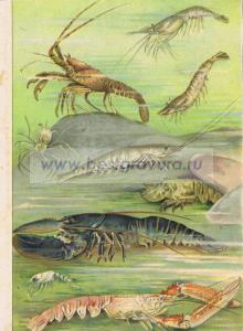 Фотография 0003.jpg