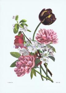 Фотография 0001.jpg