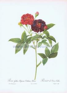 Фотография 0026.jpg