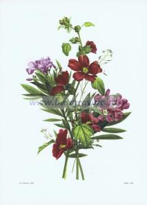 Фотография 0005.jpg