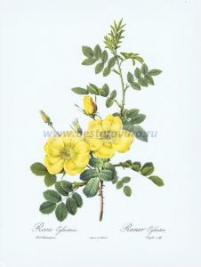 Фотография 0002.jpg