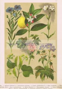 Фотография 0011.jpg