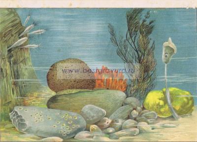 Фотография 0018.jpg