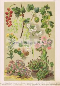 Фотография 0028.jpg