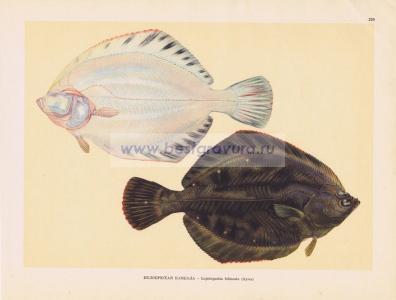 Фотография 0220.jpg