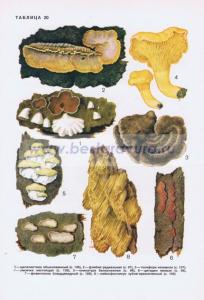 Фотография 0220.jpg