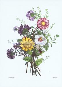 Фотография 0007.jpg