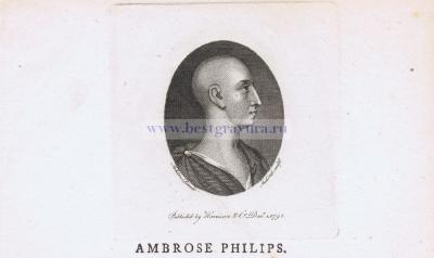 Портрет Амброуза Филипса, английского поэта.