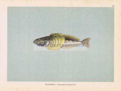 Фотография 0211.jpg