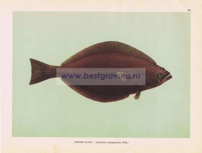 Фотография 0215.jpg