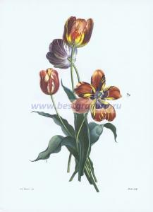 Фотография 0013.jpg