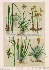 Фотография 0076.jpg