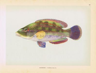 Фотография 0186.jpg