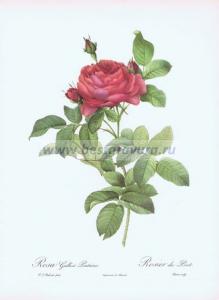 Фотография 0024.jpg