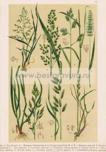 Фотография 0079.jpg