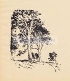 Фотография 0047.jpg