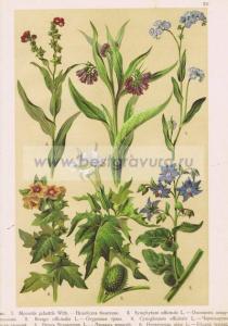 Фотография 0053.jpg