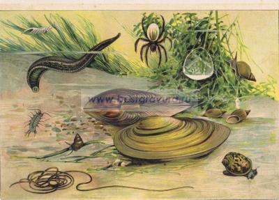 Фотография 0017.jpg