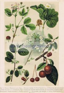 Фотография 0023.jpg