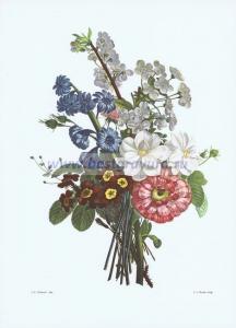 Фотография 0011.jpg