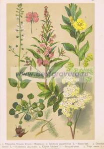 Фотография 0026.jpg