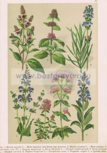 Фотография 0058.jpg