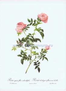 Фотография 0014.jpg