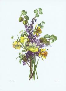 Фотография 0012.jpg