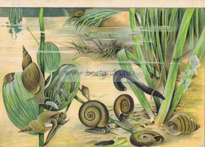 Фотография 0013.jpg