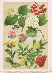 Фотография 0032.jpg