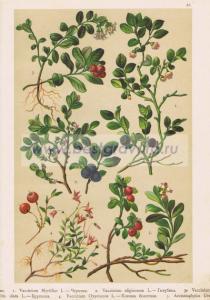 Фотография 0046.jpg