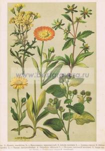 Фотография 0039.jpg