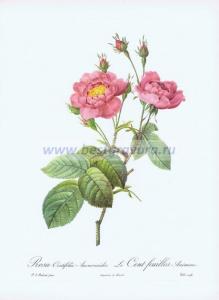 Фотография 0002.jpg