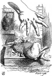 Кэрролл 2.jpg