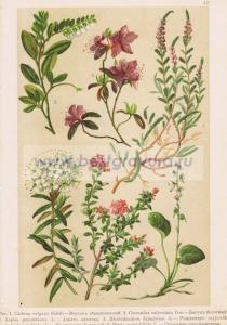 Фотография 0047.jpg