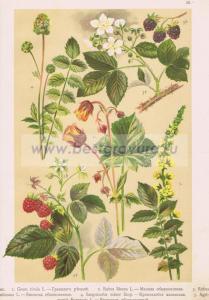 Фотография 0025.jpg