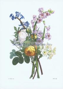 Фотография 0016.jpg