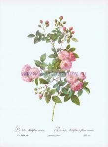 Фотография 0021.jpg