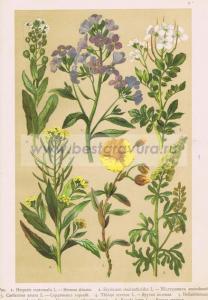 Фотография 0008.jpg