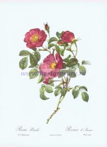 Фотография 0012.jpg