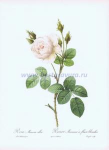 Фотография 0015.jpg