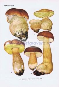 Фотография 0228.jpg