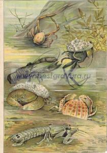 Фотография 0001.jpg