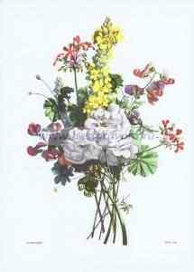 Фотография 0008.jpg