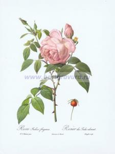 Фотография 0003.jpg