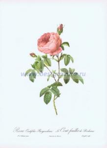 Фотография 0007.jpg