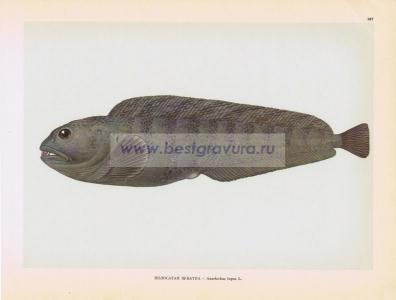 Фотография 0187.jpg