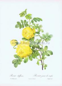 Фотография 0016.jpg