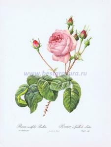 Фотография 0001.jpg